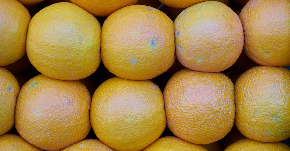 découvrez tout sur la courge butternut : ses bienfaits nutritionnels, des idées de recettes savoureuses et comment la cuisiner facilement pour des plats gourmands et sains.