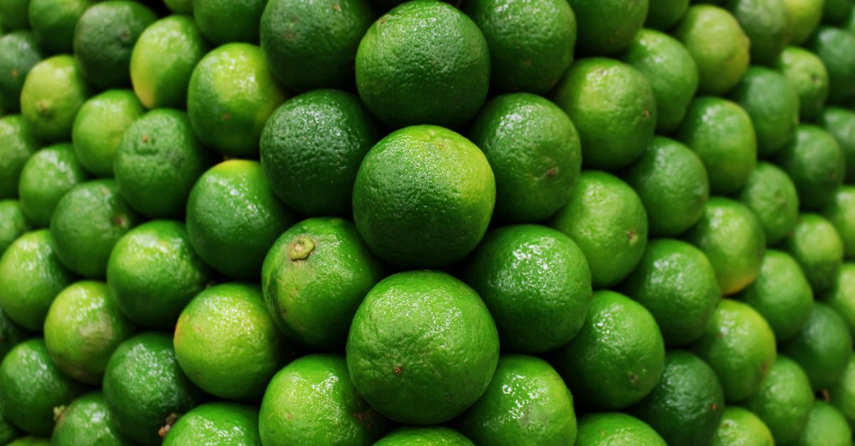 découvrez tout sur le citron vert : ses bienfaits, ses utilisations culinaires et ses recettes rafraîchissantes pour égayer vos plats.