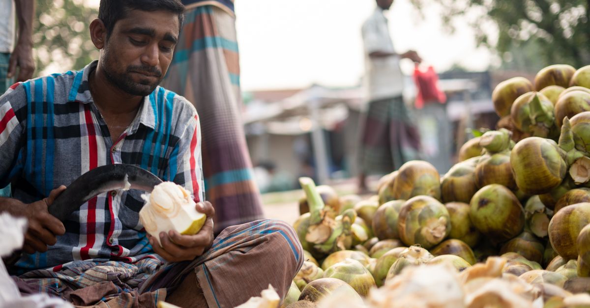découvrez le processus traditionnel d'extraction du lait de coco, une méthode artisanale préservant toutes les saveurs naturelles et les bienfaits nutritifs de la noix de coco.