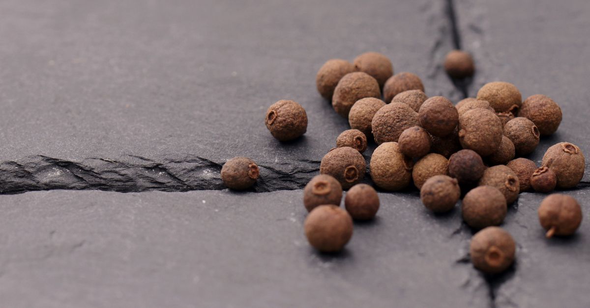 découvrez la poudre de piment de la jamaïque, une épice polyvalente aux saveurs chaudes et poivrées, idéale pour rehausser vos plats sucrés et salés.