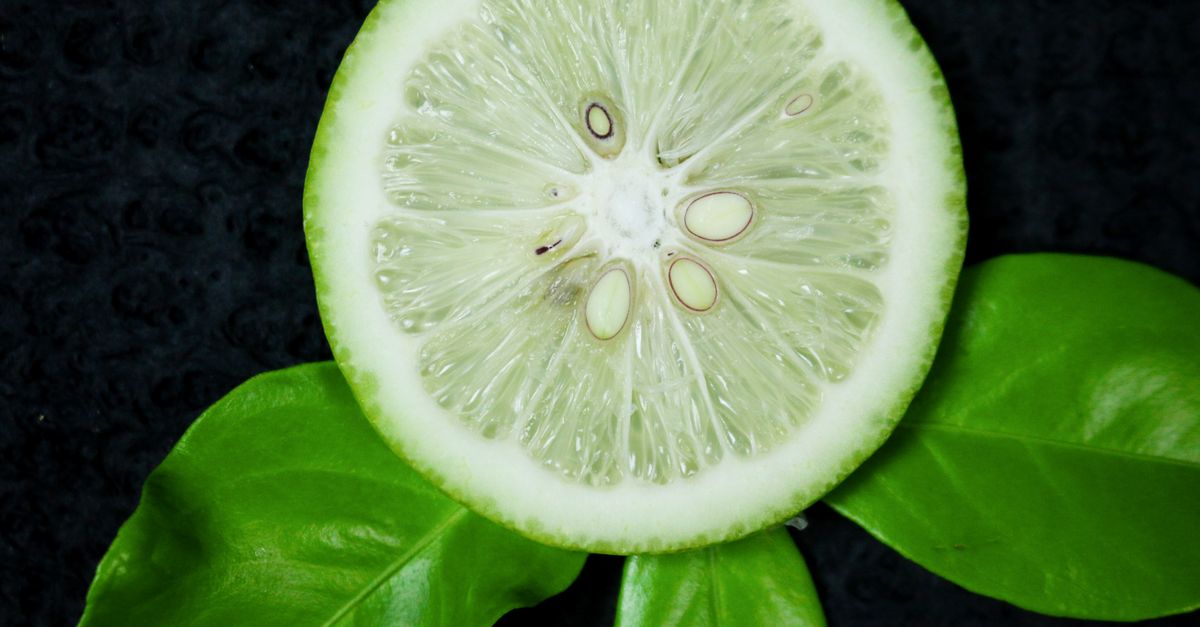 Accueil 5 découvrez les caractéristiques aromatiques uniques du citron vert dans la cuisine caribéenne, un ingrédient essentiel qui apporte fraîcheur et éclat à vos plats exotiques.