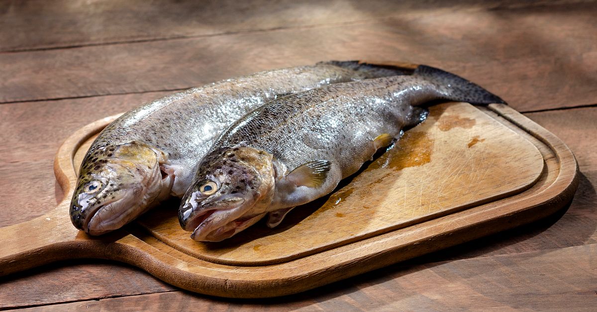 découvrez des recettes créoles de poisson savoureuses et faciles à préparer pour un goût authentique des caraïbes.