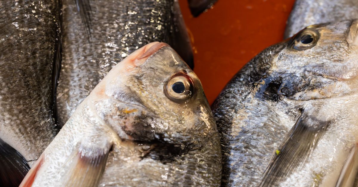 découvrez la recette authentique du fish blaff, un plat traditionnel ivoirien de poisson mariné et mijoté aux épices, parfait pour savourer les saveurs de la côte d'ivoire.