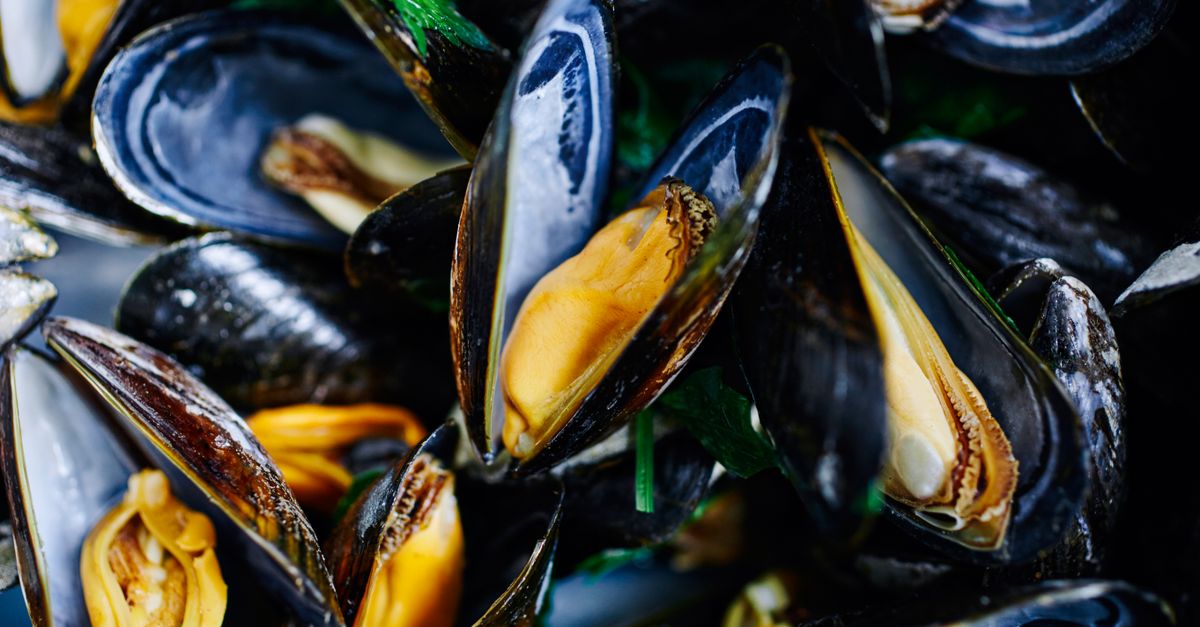découvrez notre recette authentique de mussel bake, un festin savoureux de moules cuites à la perfection, parfait pour partager entre amis ou en famille.