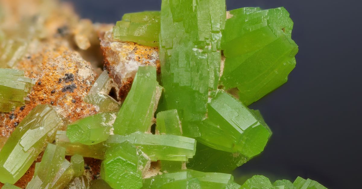 découvrez la beauté authentique des gemmes naturelles, des pierres précieuses aux vertus uniques, parfaites pour sublimer vos bijoux et créations.