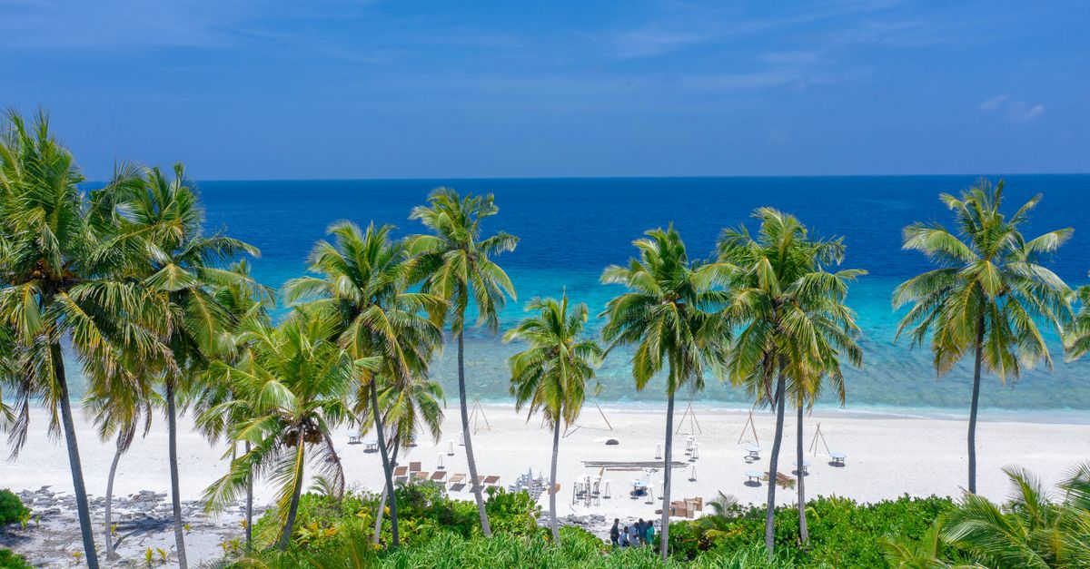 découvrez paradise, un lieu enchanteur où détente et émerveillement se rencontrent pour une expérience inoubliable.