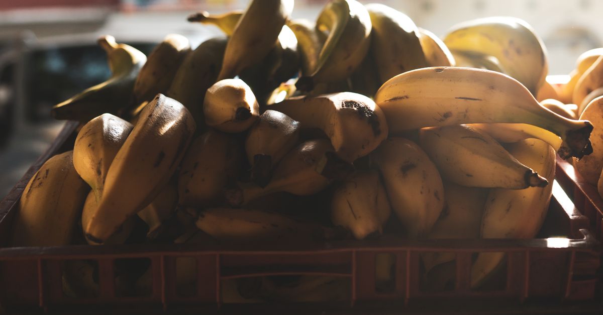 découvrez les bienfaits du plantain, une plante médicinale aux propriétés apaisantes et cicatrisantes, idéale pour soulager diverses affections cutanées et digestives.