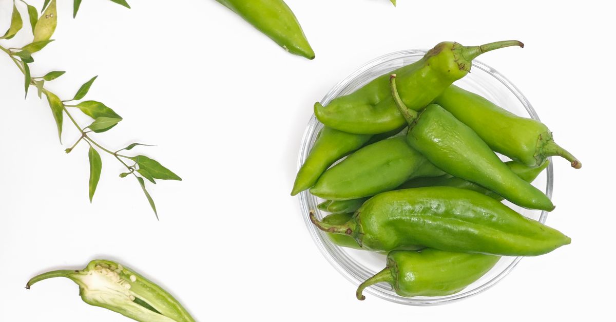 Accueil 5 découvrez le calalou, une plante tropicale aux multiples usages culinaires et médicinaux, appréciée pour ses feuilles riches en saveurs et en bienfaits pour la santé.